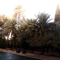Tabas Golshan Garden